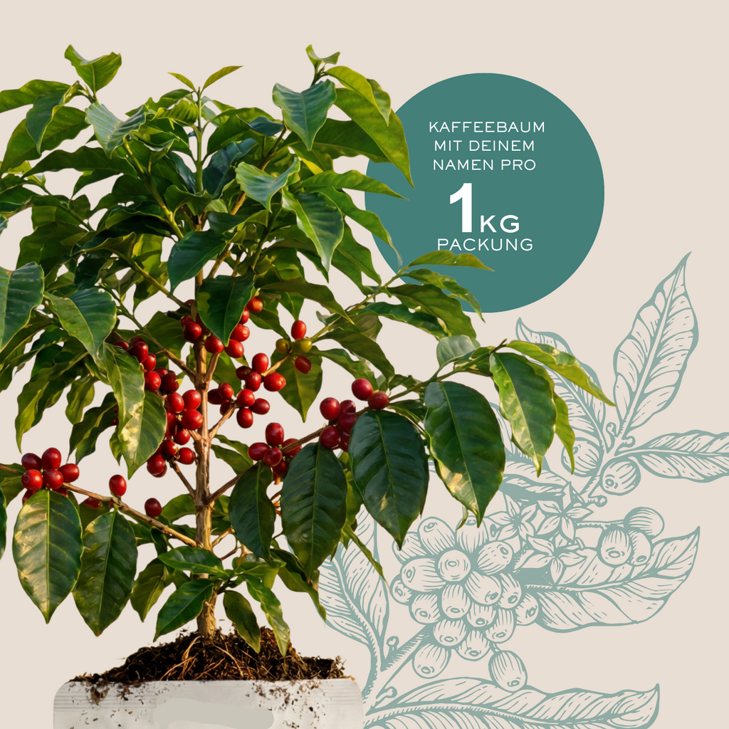 RAFIKIBO Tansania-Arabica Kaffee